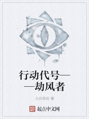 行动代号——劫风者