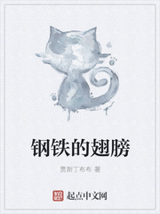 钢铁的翅膀