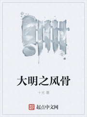 大明之风骨txt