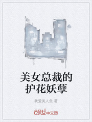 美女总裁的护花兵王石天全文