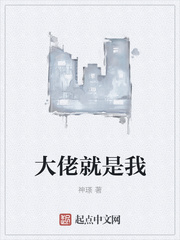 大佬就是我