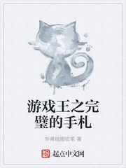 游戏王之完璧的手札