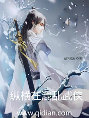 纵横在混乱武侠