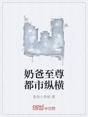 奶爸至尊都市纵横