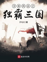 汉末风云之独霸三国