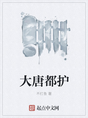 大唐都护