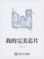 我的完美芯片