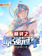 精灵之最强冠军