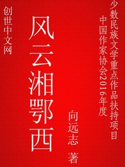风云湘鄂西