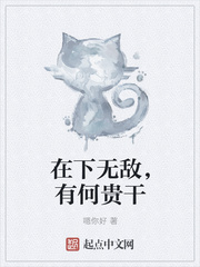 在下无敌，有何贵干