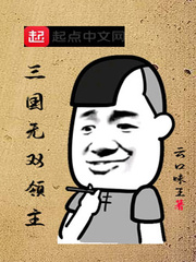三国无双领主