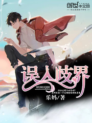 误入歧界