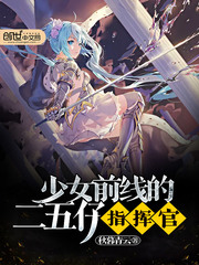少女前线的二五仔指挥官