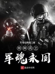 特种兵之军魂永固