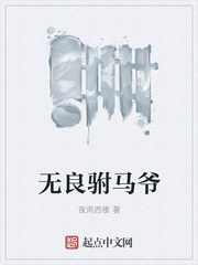 无良驸马爷