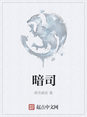 暗司