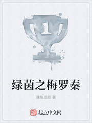 绿茵之梅罗秦