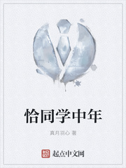 恰同学中年