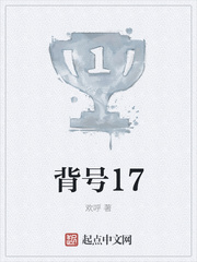 背号17