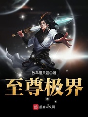 至尊极界