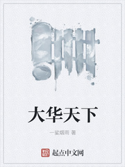 大华天下