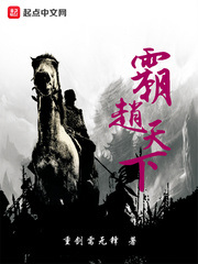 霸赵天下