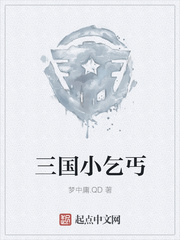 三国小乞丐