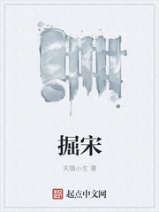 掘宋