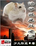 法爷我是只老鼠