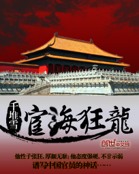 宦海狂龙