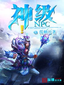 神级NPC