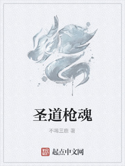 圣道枪魂