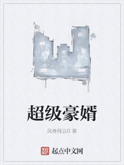 超级豪婿