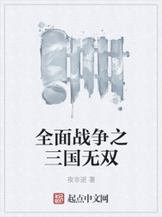 全面战争之三国无双