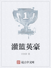 灌篮英豪