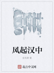 风起汉中