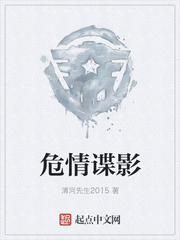 危情谍影