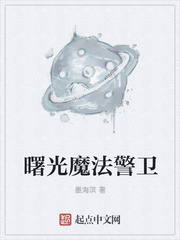 曙光魔法警卫