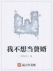 我不想当赘婿
