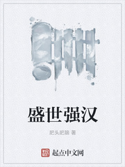 盛世强汉