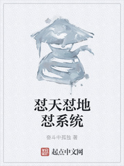 怼天怼地怼系统