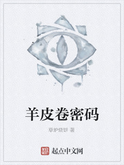 羊皮卷密码