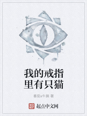 我的戒指里有只猫