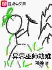 异界巫师劫难