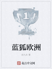 蓝狐欧洲