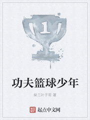 功夫篮球少年