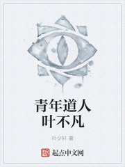 青年道人叶不凡