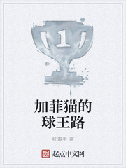 加菲猫的球王路