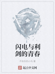 闪电与利剑的青春