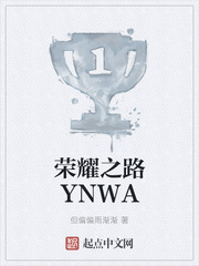 荣耀之路YNWA